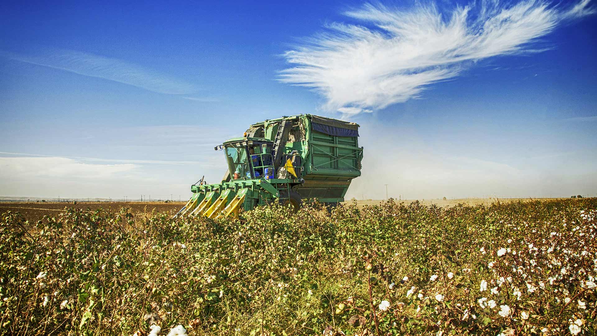 KARAGIORGOS COTTON INDUSTRY