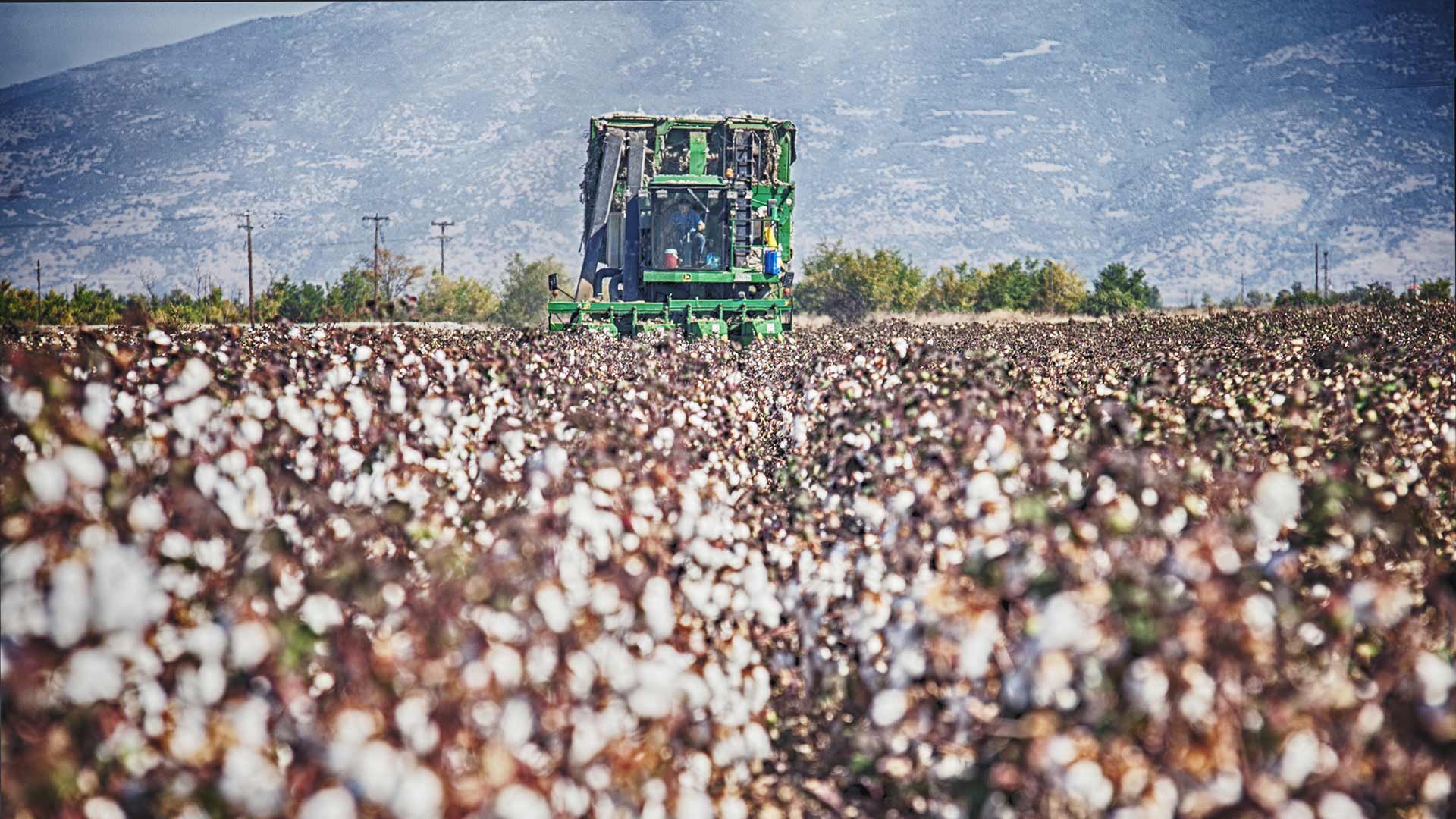 KARAGIORGOS COTTON INDUSTRY