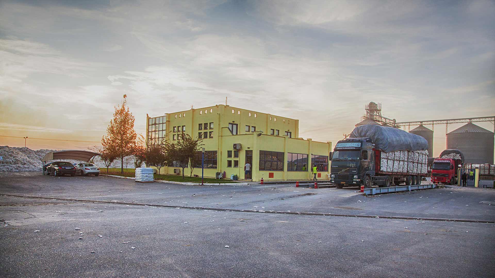 KARAGIORGOS COTTON INDUSTRY